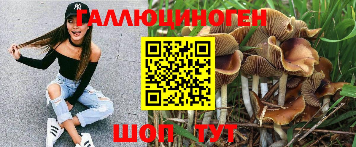 Псилоцибиновые грибы мухоморы  Вход с VPN  закладки  Заринск 
