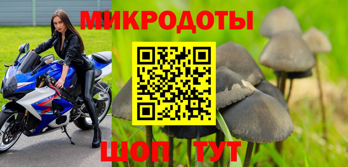 Псилоцибиновые грибы мухоморы Заринск